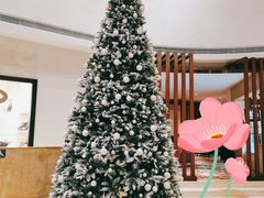 -红棉中餐厅·广州海航威斯汀酒店
