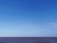 -南汇新城海滩