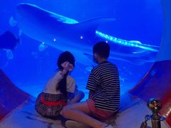 -烟台海昌鲸鲨海洋公园