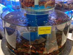 水产区-新海渔港·胶东海鲜家常菜·家宴(奥体中心店)
