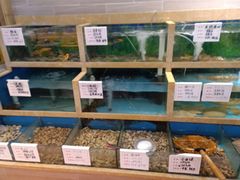 水产区-良师门滨海人家·海鲜·家常菜(滨海城店)