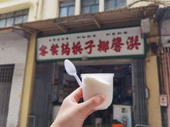 -洪馨椰子