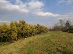 -白鹭湾湿地公园