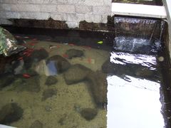 -泉乐坊步行街(烟酒特产平价超市店)