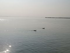 -梁子岛生态旅游区