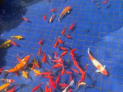 -锦腾轩滇味餐厅