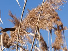 -广富林郊野公园