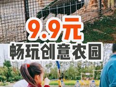 -前小桔亲子创意农场·草莓采摘·露营烧烤