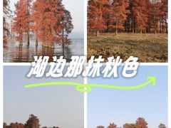 -四明湖