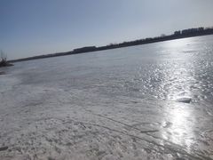 -绿堤公园