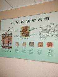 -苗方清颜专业祛痘连锁机构