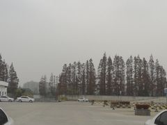 -光明驾校·学车·陪驾(杨浦店)