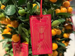 -上海锦江汤臣洲际大酒店壹阶层