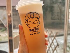 -猫咪派对(江南西店)