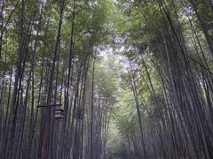 -苏州环秀晓筑养生度假村