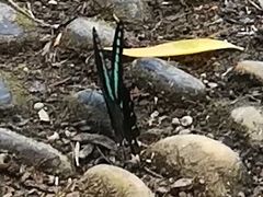 -天鹅湖体育公园