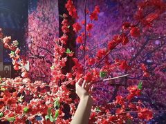 -武汉杜莎夫人蜡像馆