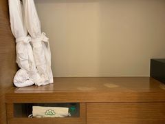 -斯瑞特国际酒店