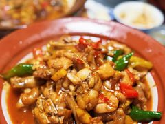 干锅牛蛙-军子大排档(迎春花园店)