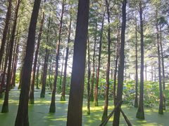 -云龙湖旅游景区