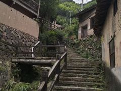 -大唐贡茶院