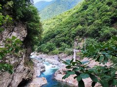 -黑河国家森林公园