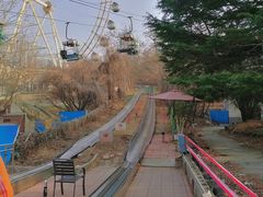 -富斯特索道