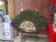 -西双版纳傣族园