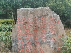 -金钉子远古世界景区