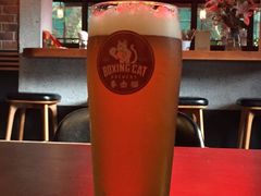 -Boxing Cat Brewery拳击猫精酿啤酒馆(永福店)