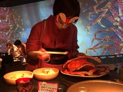 -地球美食剧场