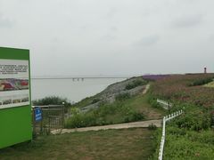 -巢湖姥山岛