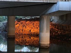 -贡湖湾湿地公园