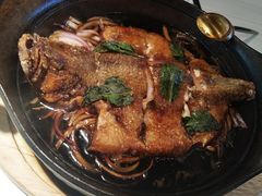 -九毛九西北菜(番禺万达店)