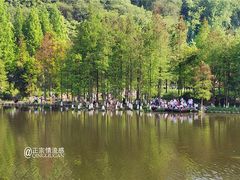 -重庆彩云湖湿地公园