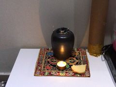 -彩虹桥宠物火化殡葬善终服务(金乐大厦店)