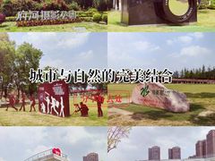 -府河摄影公园