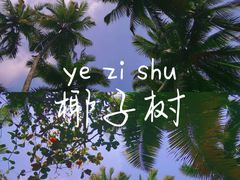 -东郊椰林