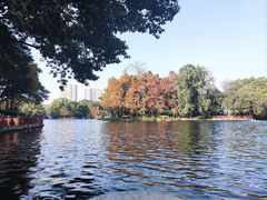 -荔湾湖公园