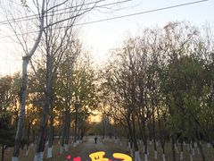 -东升八家郊野公园