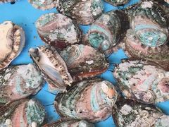 -大东海海鲜酒楼(渔人码头总店)