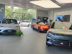 -上海浦东smart汽车全功能店(金桥店)