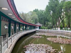 -西宁市人民公园(城西区)