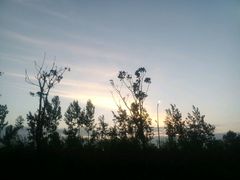 -艾溪湖湿地公园