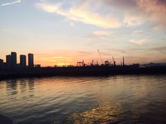 -东港音乐喷泉广场