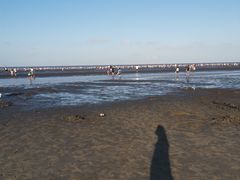 -启东黄金海滩景区