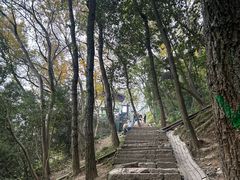 -灵顺寺
