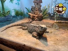 -石家庄市动物园