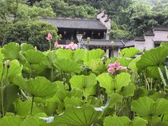 -重庆园博园