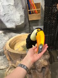 -Zoolung Zoolung动物主题公园(海信广场店)